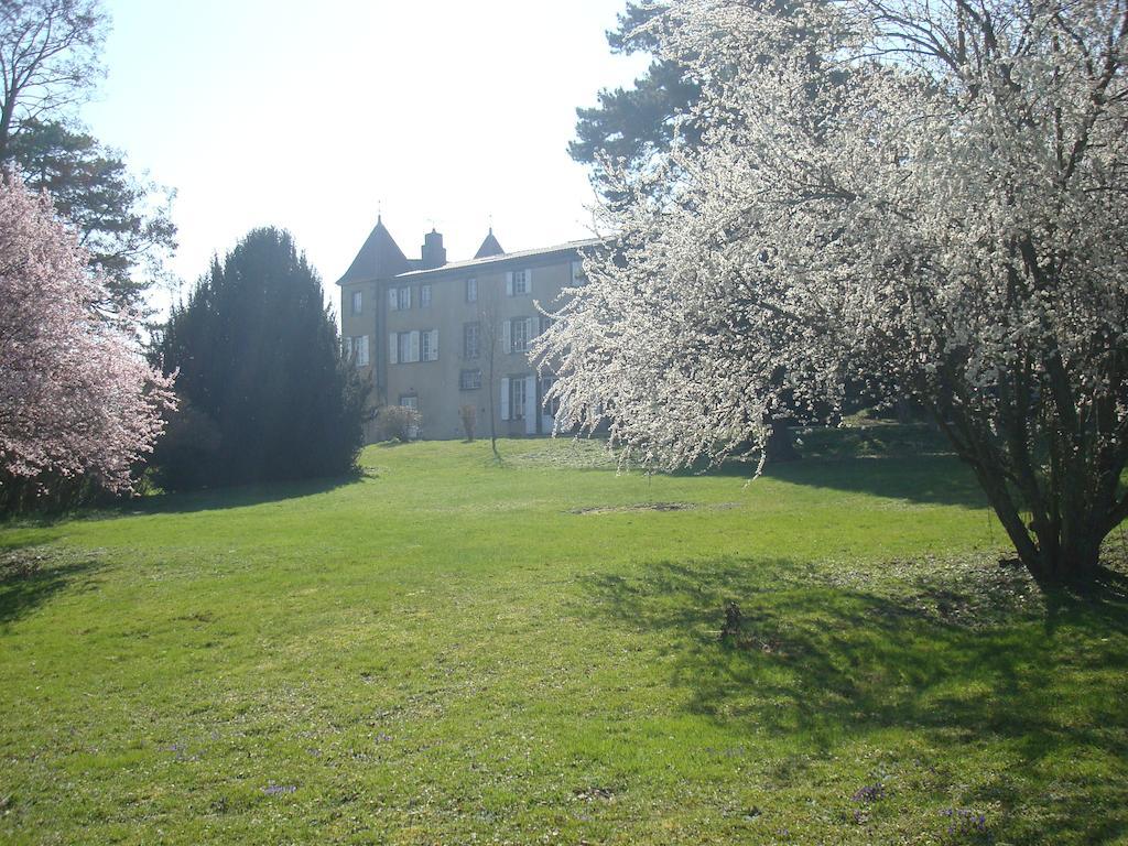 Chateau De Bourrassol Bed and Breakfast Menetrol Eksteriør billede